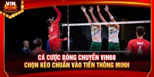 Cá Cược Bóng Chuyền Vin68 – Chọn Kèo Chuẩn Vào Tiền Thông Minh