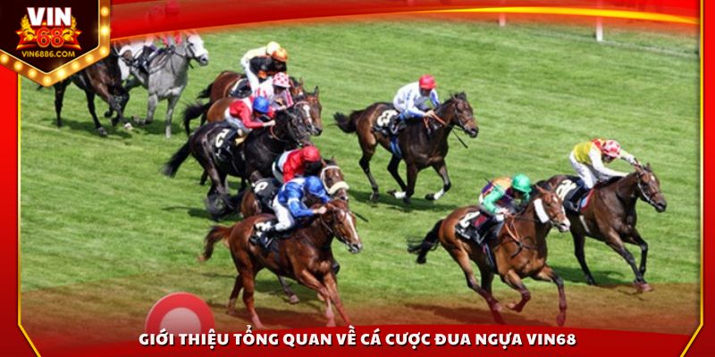 Giới thiệu tổng quan về cá cược đua ngựa Vin68