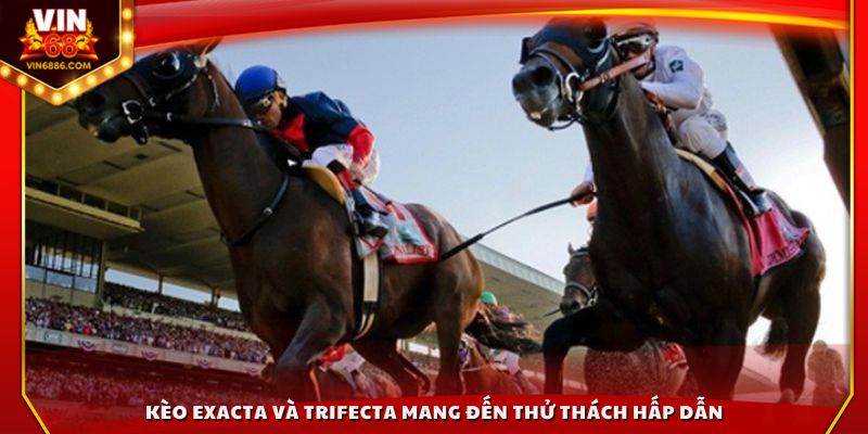 Kèo Exacta và Trifecta mang đến thử thách hấp dẫn