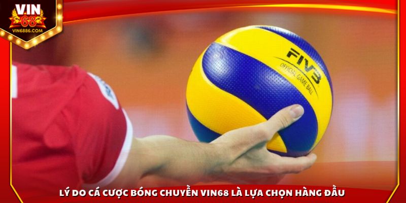 Lý do cá cược bóng chuyền Vin68 là lựa chọn hàng đầu