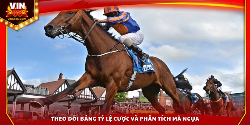 Theo dõi bảng tỷ lệ cược và phân tích mã ngựa