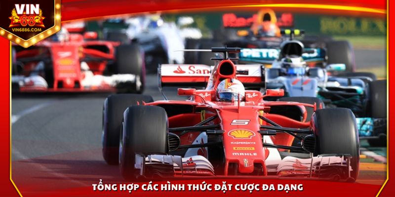 Tổng hợp các hình thức đặt cược đa dạng