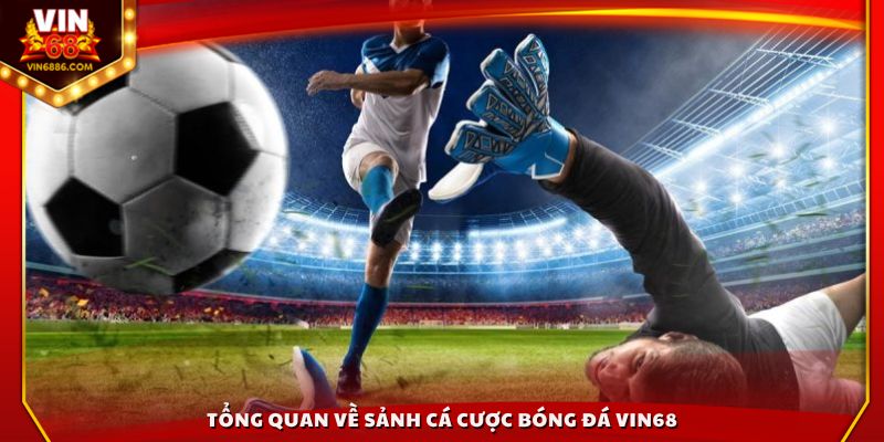 Tổng quan về cá cược bóng đá Vin68