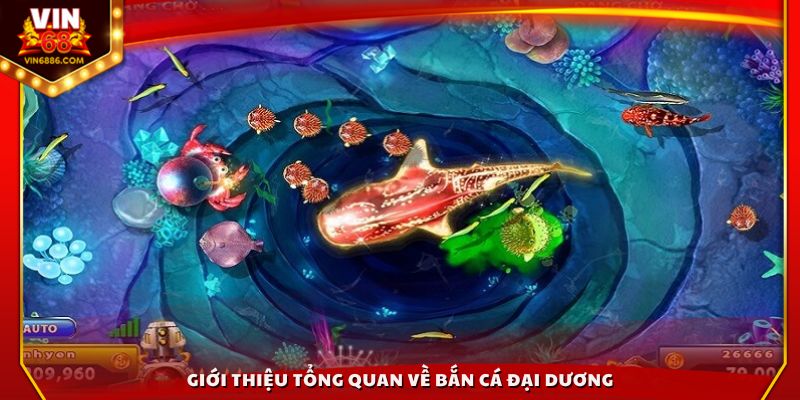 Vài nét sơ lược về bắn cá Đại Dương